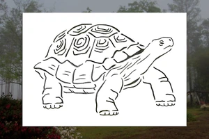 Tortoise Reusable Stencil (Many Sizes) - Imagen 1 de 1