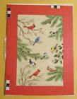 NOËL Bluejay Cardinal Birds on Branch 5x7" carte de vœux art FN 6.0 #5408