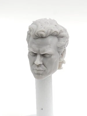 Cabeza de bruce keaton impresa en 3D 1:10 7" MARVEL LEGENDS MCFARLANE DC MULTIVERSO   Foto 1 de 2