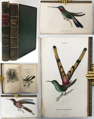 1833 FIRST ED. Jardine ORNITHOLOGY Vol. 1-2 Humming-Birds 65 HAND COLOUR PLATES - Image 1 of 4