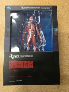 figma Human Anatomical Model Action Figure - open box - Picture 1 of 6