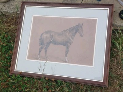 Pequeña yegua árabe, dibujo antiguo a lápiz y tiza - Basil Bradbury del siglo XIX Foto 1 de 4