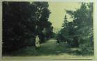 Q239 HAMMA Bare Wood Trial Garden ALGERIA Belouizdad Postcard 1918