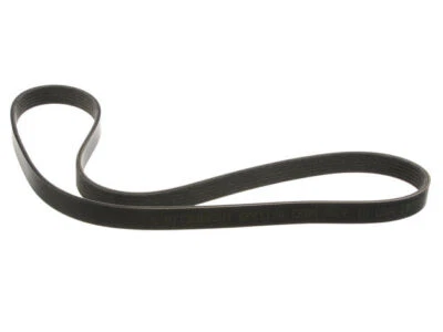 Cinturón multi costilla para Ford Escort 1997-2001 12332NNSD 1998 1999 2000 SOHC Foto 1 de 2