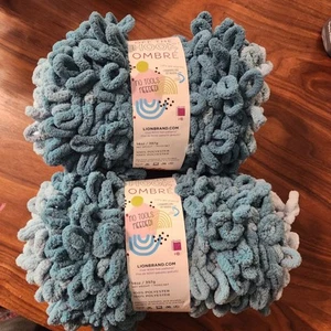 Lion Brand Yarn - Off The Hook Ombré - 2 skeins Northern Lights teal - Picture 1 of 4