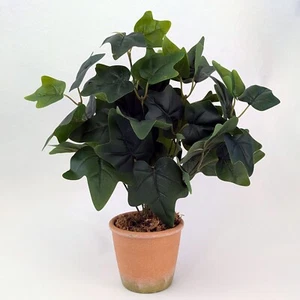 Künstliche Efeu Pflanzen in Töpfen - grün oder bunt - Bild 1 von 4