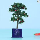 1:12 Dollhouse Miniature Potted Fruit Trees Simulation Potted Plants Doll Dec  Q