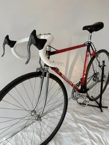 Rennrad Klassiker Benotto, vintage, retro - Bild 1 von 20