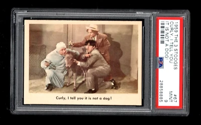 1959 Fleer Three Stooges #67 Curly I tell you it is not a dog !  PSA 9 - Image 1 of 2