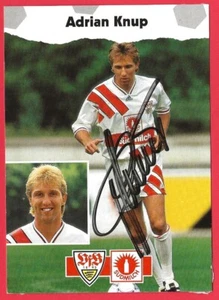TARJETA AUTOGRAFIADA ORIGINAL ADRIAN KNUP SUIZA INT 1989-1996 COPA MUNDIAL 94 - Imagen 1 de 3