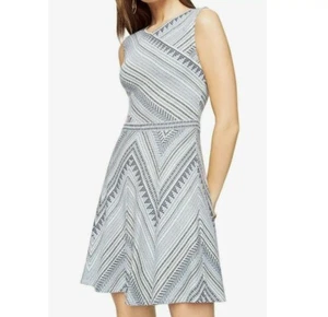 NUEVO CON ETIQUETAS BCBG MAXAZRIA Pequeño Blanco Azul Jazmín Chevron Rayas Tejido Jacquard Vestido - Imagen 1 de 4