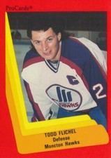 1990-91 ProCards AHL/IHL #247 TODD PLAQUE - Moncton Hawks