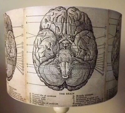 Brain Halloween Lampenschirm, heller Schirm, Vintage, Gothic, Steampunk, Gehirn, kostenloses Geschenk - Bild 1 von 3