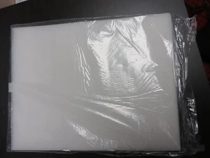 Plastic Canvas ~ 10 Count ~Bulk 12 Sheets- 10.5 x 13.5 Inch Darice Clear - Picture 1 of 2