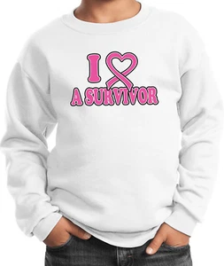 Buy Cool Shirts Kids Breast Cancer Sweatshirt I Heart a Survivor - Picture 1 of 7