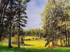 Oil Painting done in the Bob Ross wet on wet Open Country 16x20