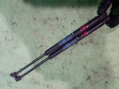 Varilla amortiguadora de puerta trasera. Izquierda LANCIA YPSILON (TE) 1.2 Oro - Imagen 1 de 4