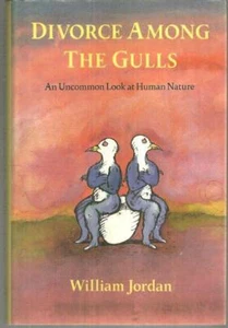 Divorce Among the Gulls by Wiliam Jordan 1991 1st edition Dust Jacket Nature - Picture 1 of 1