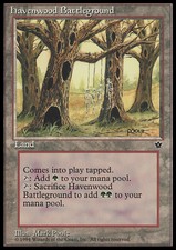 Magic the Gathering MTG Havenwood Battleground (96) Fallen Empires   LP