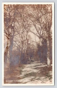 RPPC Kodak Velvet Green Tree Covered Dirt Road Wilton Minnesota VTG Postcard - Picture 1 of 2