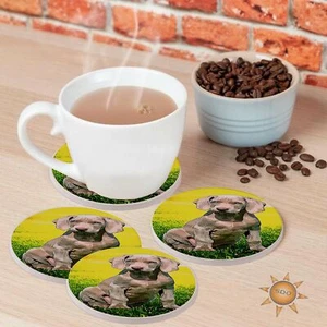 Adorable Weimaraner Cachorro Bebida Posavasos Set de Regalo Piedra Arenisca Natural - Imagen 1 de 2