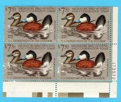 1981 : P.Blk. Duck Stamp RW-48 M/ NH /  MB-41 - Image 1 of 2