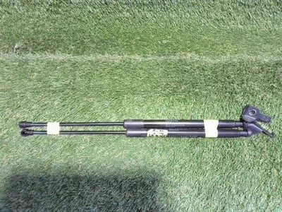 Amortiguador de puntal capó Toyota Lexus nx 2018 DBA-AGZ15 534400W280 [usado] [PA112695621] - Imagen 1 de 3