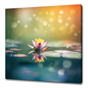 Beautiful Lotus Flower Floating In The Pond Relaxing Home Decor Canvas Print Art - Picture 1 of 7